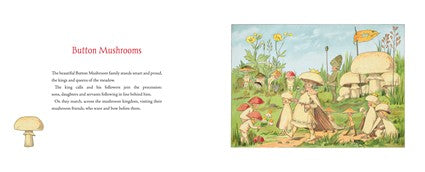 Tales of the Mushroom Folk