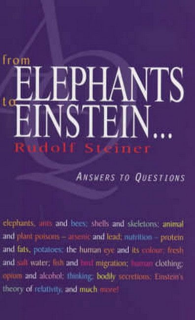From Elephants to Einstein