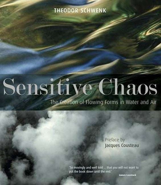 Sensitive Chaos 2/e