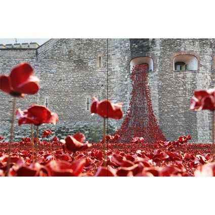 Poppies