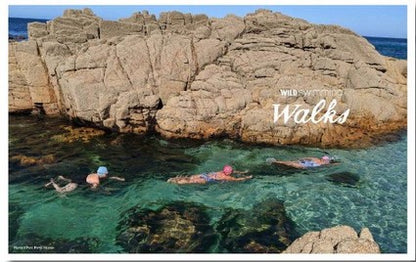 Wild Swimming Walks Dorset & East Devon
