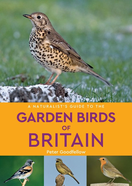 A Naturalist's Guide to the Garden Birds of Britain (2nd edition) 2/e