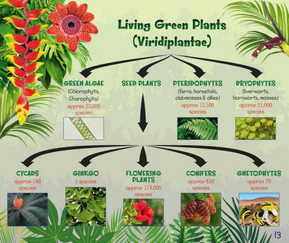 What on Earth Plants?