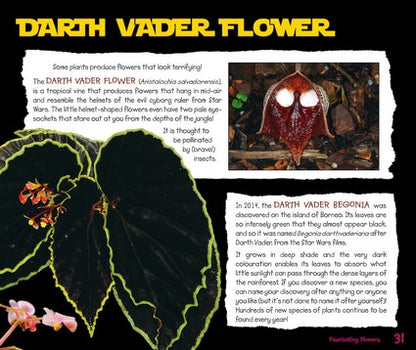 What on Earth Plants?