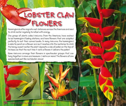 What on Earth Plants?