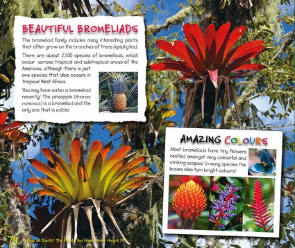 What on Earth Plants?