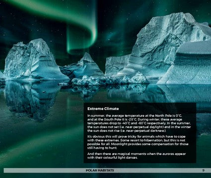 Amazing Ecosystems