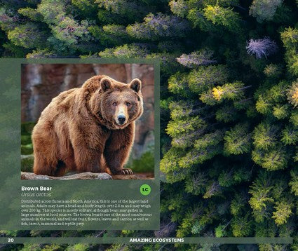 Amazing Ecosystems