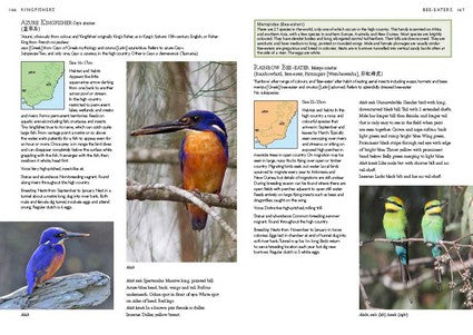A Photographic Field Guide to Birds of Canberra & the High Country (2nd ed) 2/e