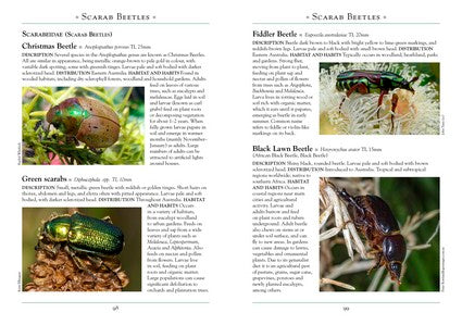 A Naturalist's Guide to the Insects of Australia 2/e