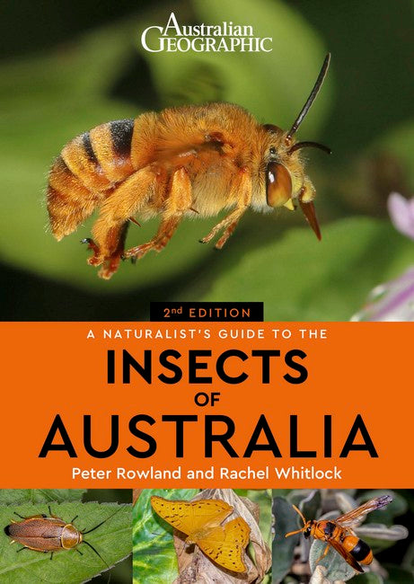 A Naturalist's Guide to the Insects of Australia 2/e