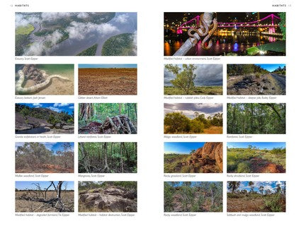 A Field Guide to the Snakes of Australia