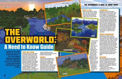 The World of Minecraft