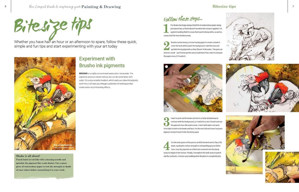 The Compact Guide to Improving your Painting and Drawing