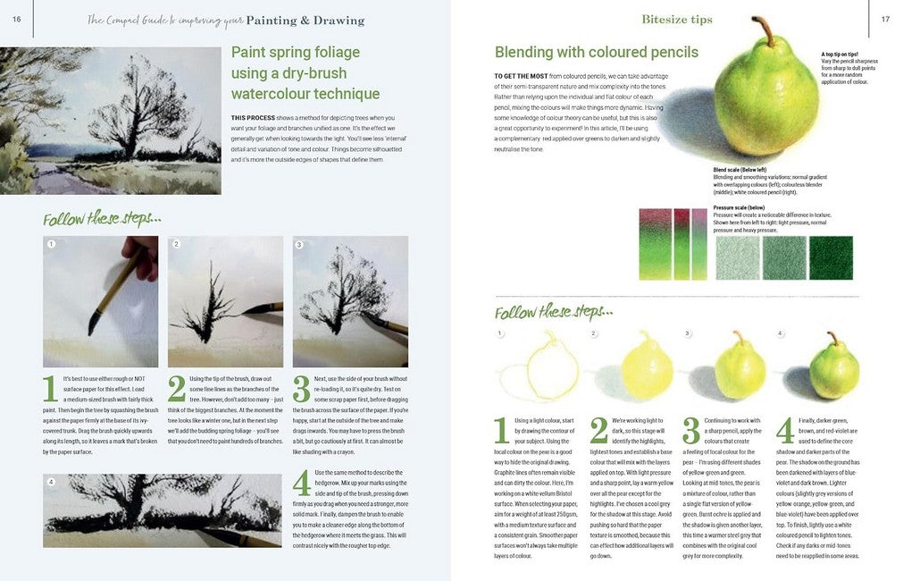 The Compact Guide to Improving your Painting and Drawing