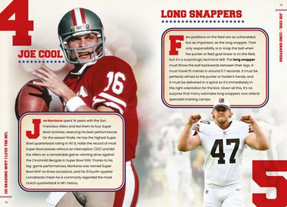 101 Reasons Why I Love the NFL