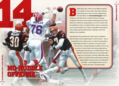 101 Reasons Why I Love the NFL