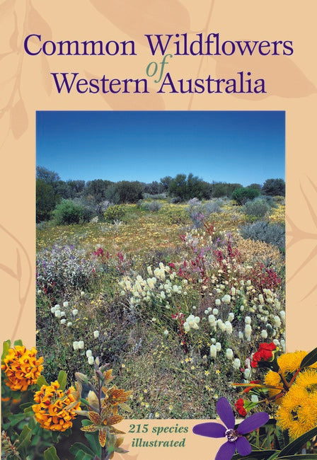 Common Wildflowers of Western Australia