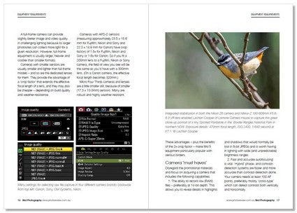 Bird Photography