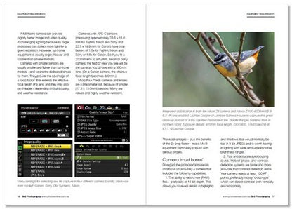 Bird Photography