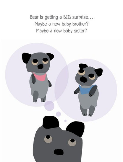 Bear and the Big Surprise