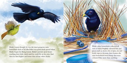 Binky the Bowerbird