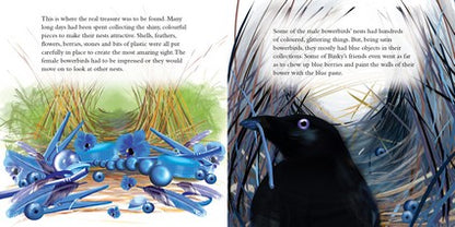 Binky the Bowerbird