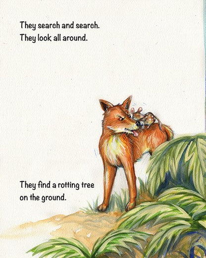 Derek the Dingo meets the Spotted Quoll
