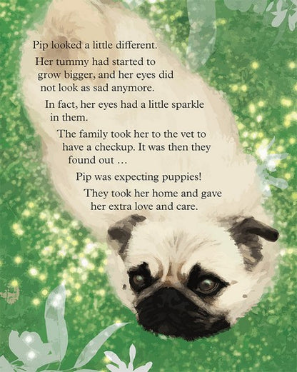 Percy's Presents