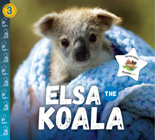 Elsa the Koala