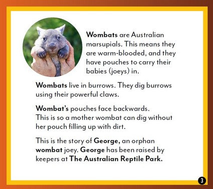 George the Wombat