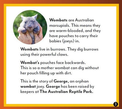George the Wombat