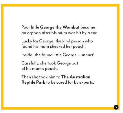 George the Wombat