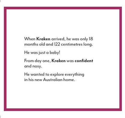 Kraken the Komodo Dragon