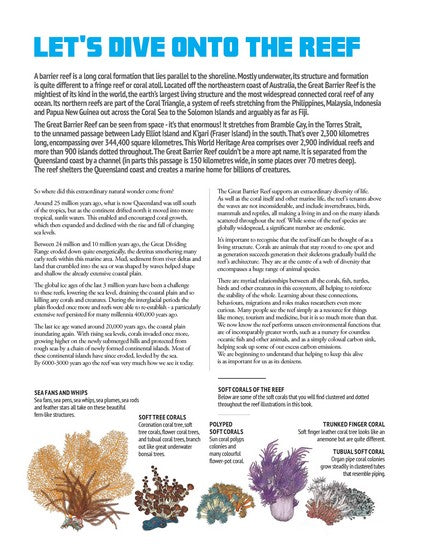 Wildlife of Australia's Great Barrier Reef