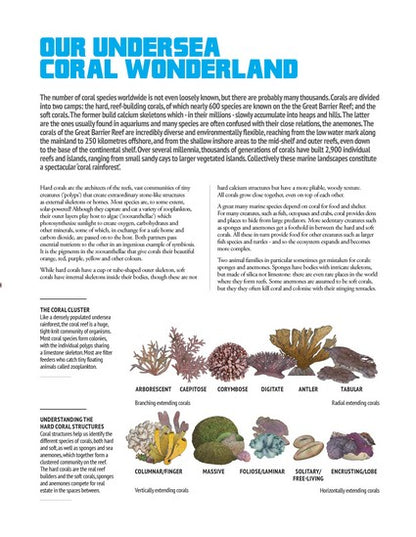 Wildlife of Australia's Great Barrier Reef