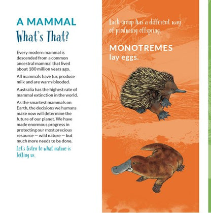 What's That? Australian Mammals (HB)