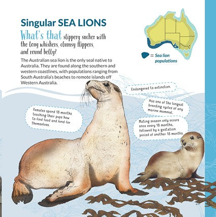 What's That? Australian Mammals (HB)