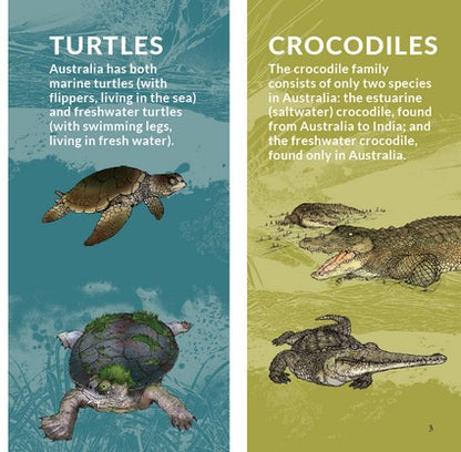 What's That? Australian Reptiles (HB)