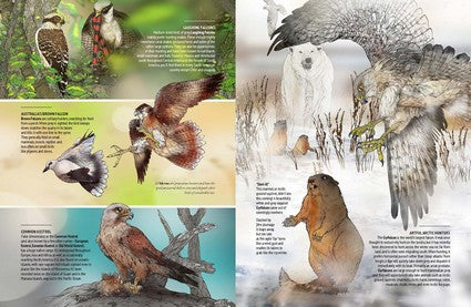 Myke Mollard's Birds of Prey