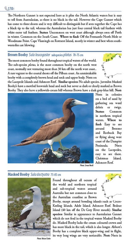 Birds of Western Australia 2/e