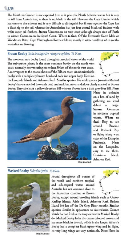 Birds of Western Australia 2/e