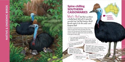 What's That? Australian Birds (HB)