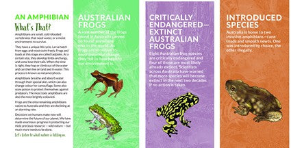 What's That? Australian Frogs, Toads & Newts (HB)