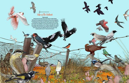 Australian Outback Birds