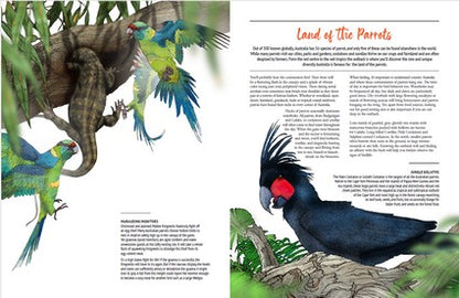 Australian Outback Birds
