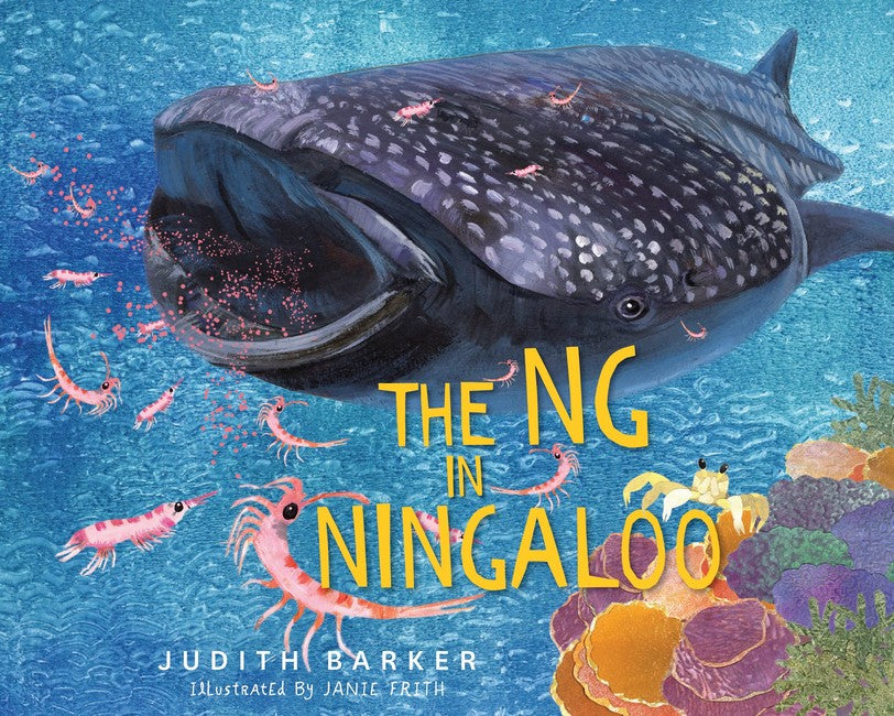 The NG in Ningaloo (PB)