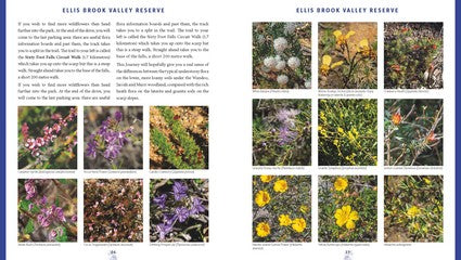 Wildflower Journeys through Southwest Australia