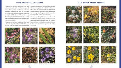 Wildflower Journeys through Southwest Australia