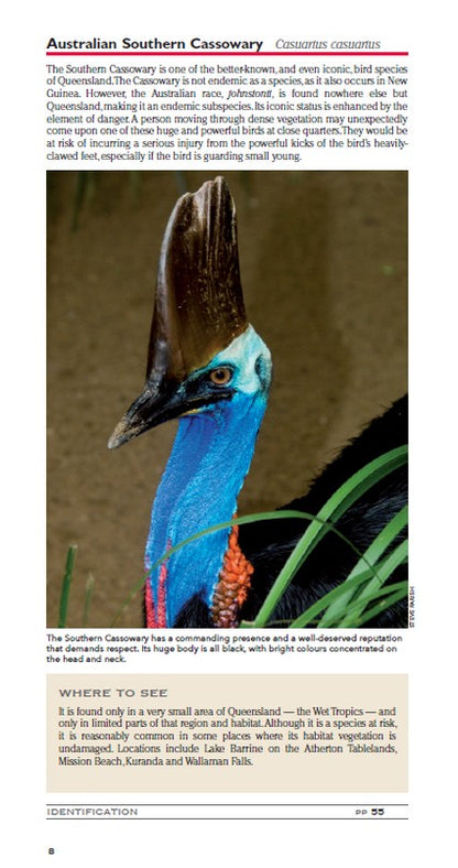 Pocket Field Guide to the Birdlife of Queensland 2/e
